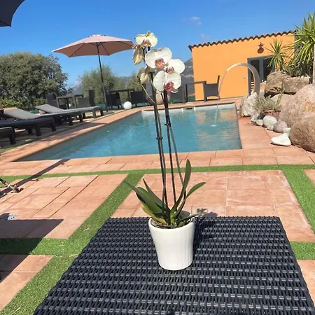 Bed & Breakfast A Casa Di Jo Calenzana