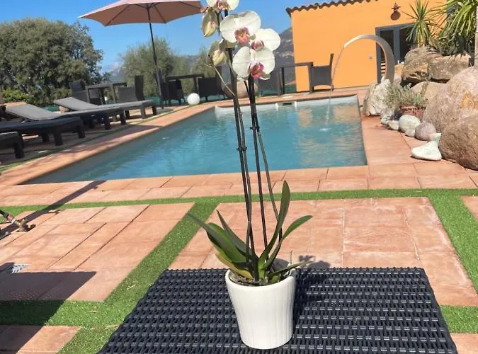Bed & Breakfast A Casa Di Jo Calenzana